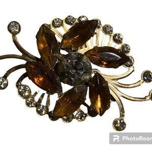 Large brooch with dark amber stones